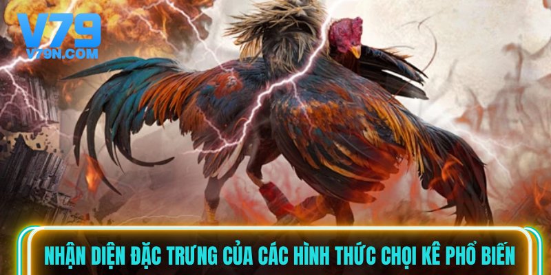Nhận diện đặc trưng của các hình thức chọi kê phổ biến Nhận diện đặc trưng của các hình thức chọi kê phổ biến