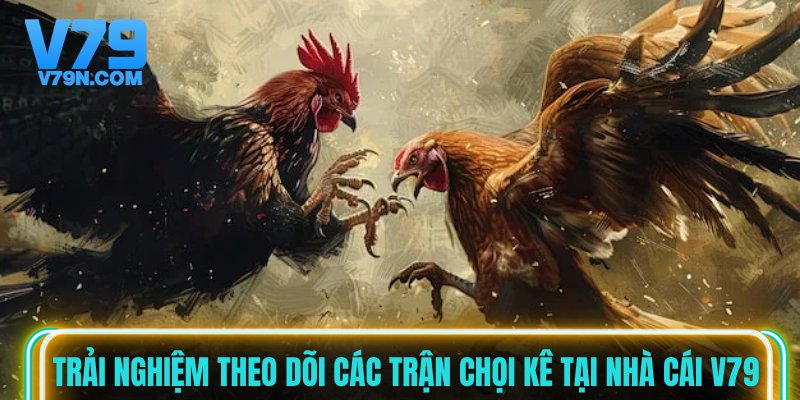 Trải nghiệm theo dõi các trận chọi kê tại nhà cái V79 Trải nghiệm theo dõi các trận chọi kê tại nhà cái V79